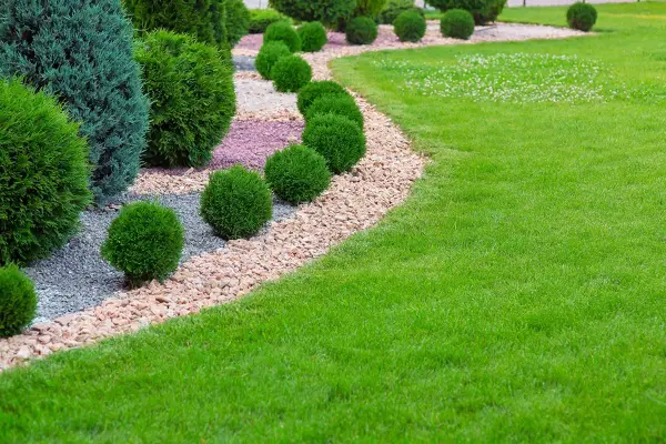 Lawn Care Lawn Care